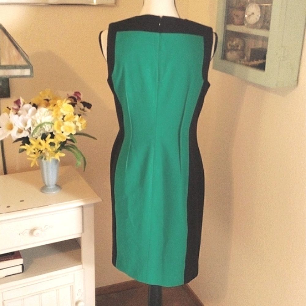 Calvin Klein Colorblock Dress - Picture 5 of 9